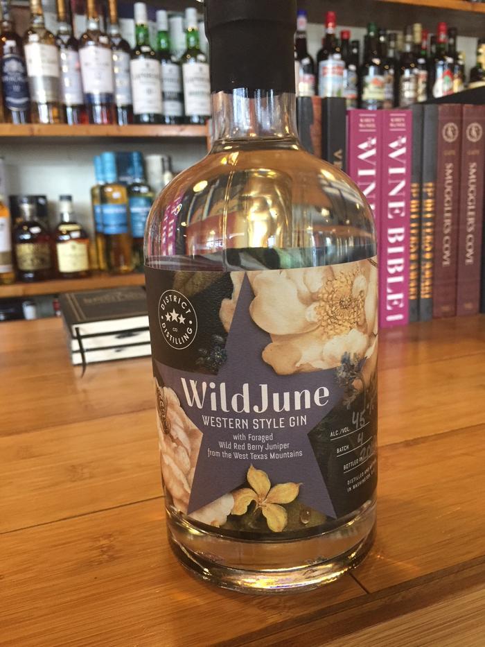 Wild June Gin Tasting