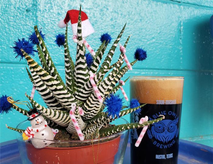 Workshop: Holiday Succulents