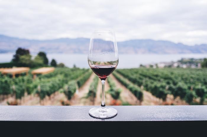 Mi Amore! The Wines of Italy